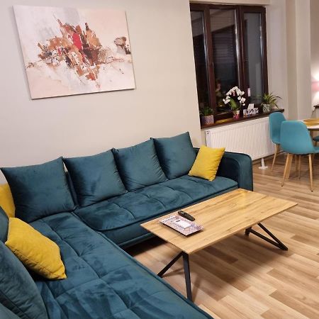 City Inn Premium Apartment Timişoara Buitenkant foto