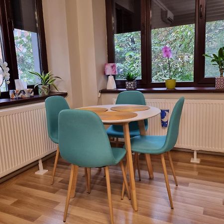 City Inn Premium Apartment Timişoara Buitenkant foto