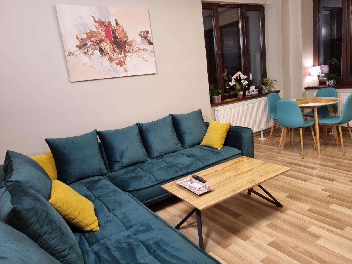 City Inn Premium Apartment Timişoara Buitenkant foto
