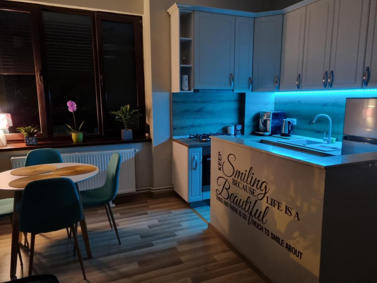 City Inn Premium Apartment Timişoara Buitenkant foto